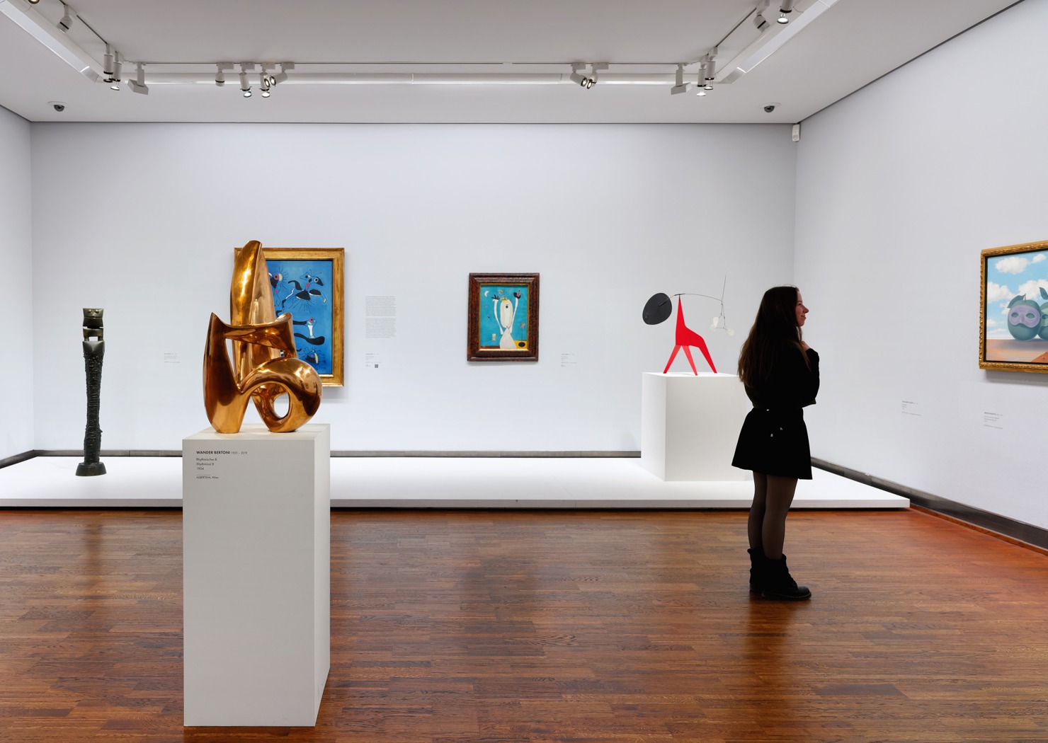 Wien Albertina Architektur