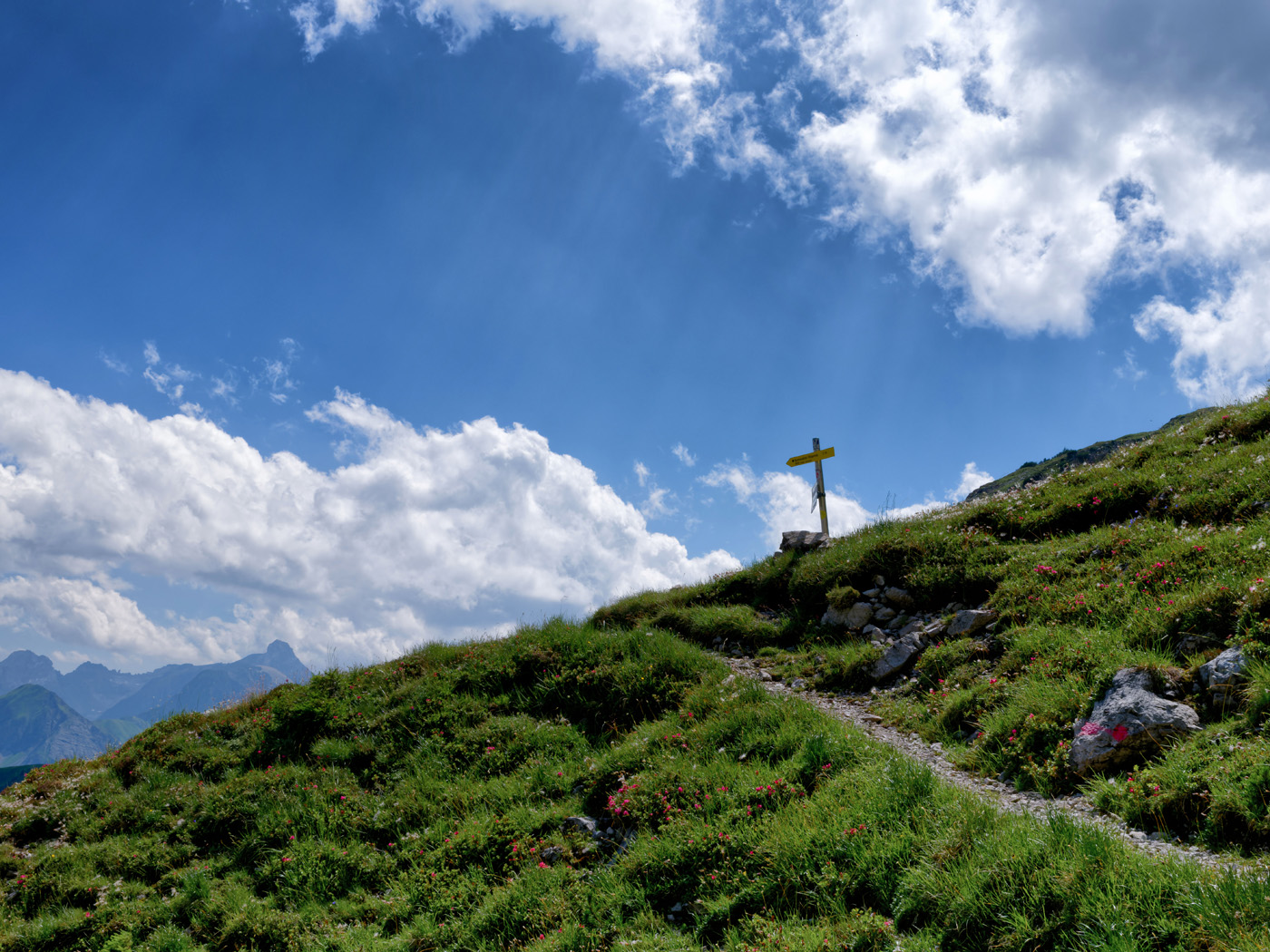Lechtaler Alpen Panorama